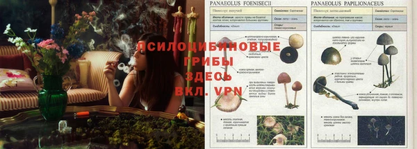 марихуана Протвино