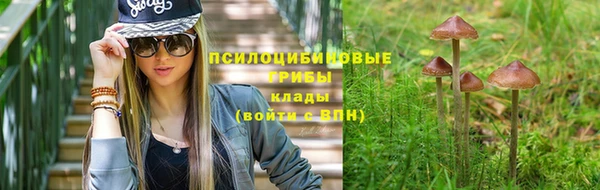 кокаин премиум Приозерск