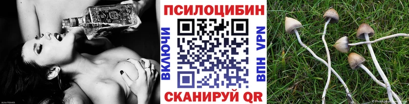 Псилоцибиновые грибы прущие грибы Светлоград